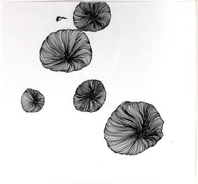 Quallen | © Galerie Dr. Markus Döbele