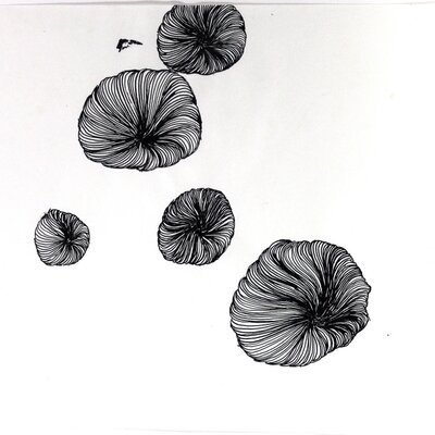 Quallen | © Galerie Dr. Markus Döbele