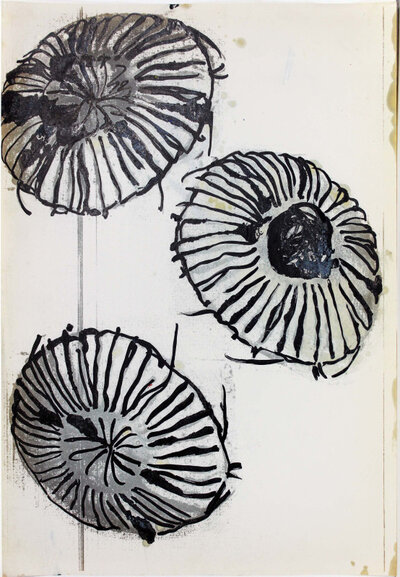 Quallen | © Galerie Dr. Markus Döbele