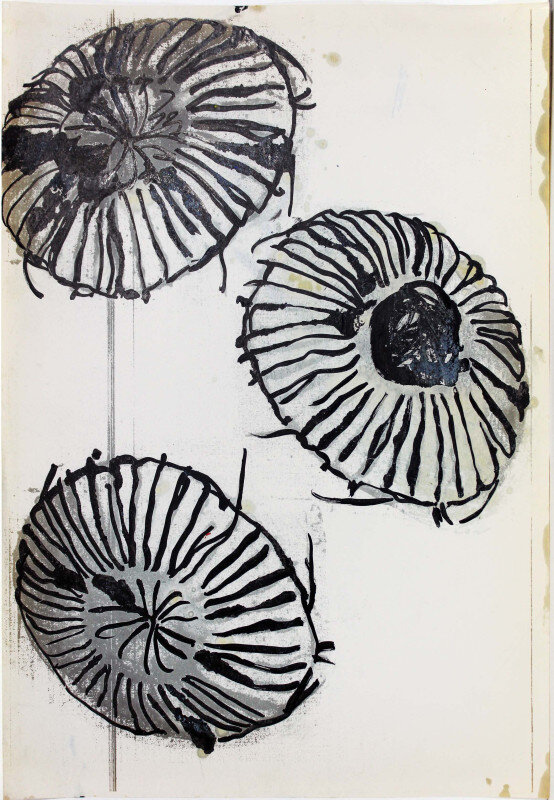 Quallen | © Galerie Dr. Markus Döbele