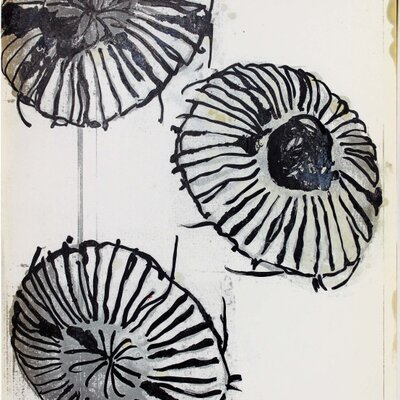 Quallen | © Galerie Dr. Markus Döbele