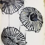 Quallen | © Galerie Dr. Markus Döbele