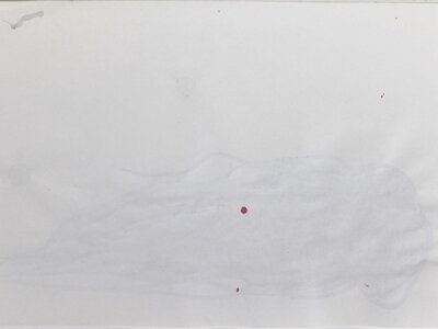 Qualle | © Galerie Dr. Markus Döbele